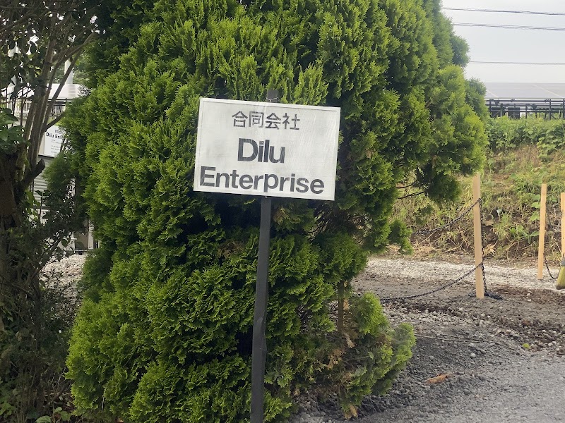 Dilu enterprise