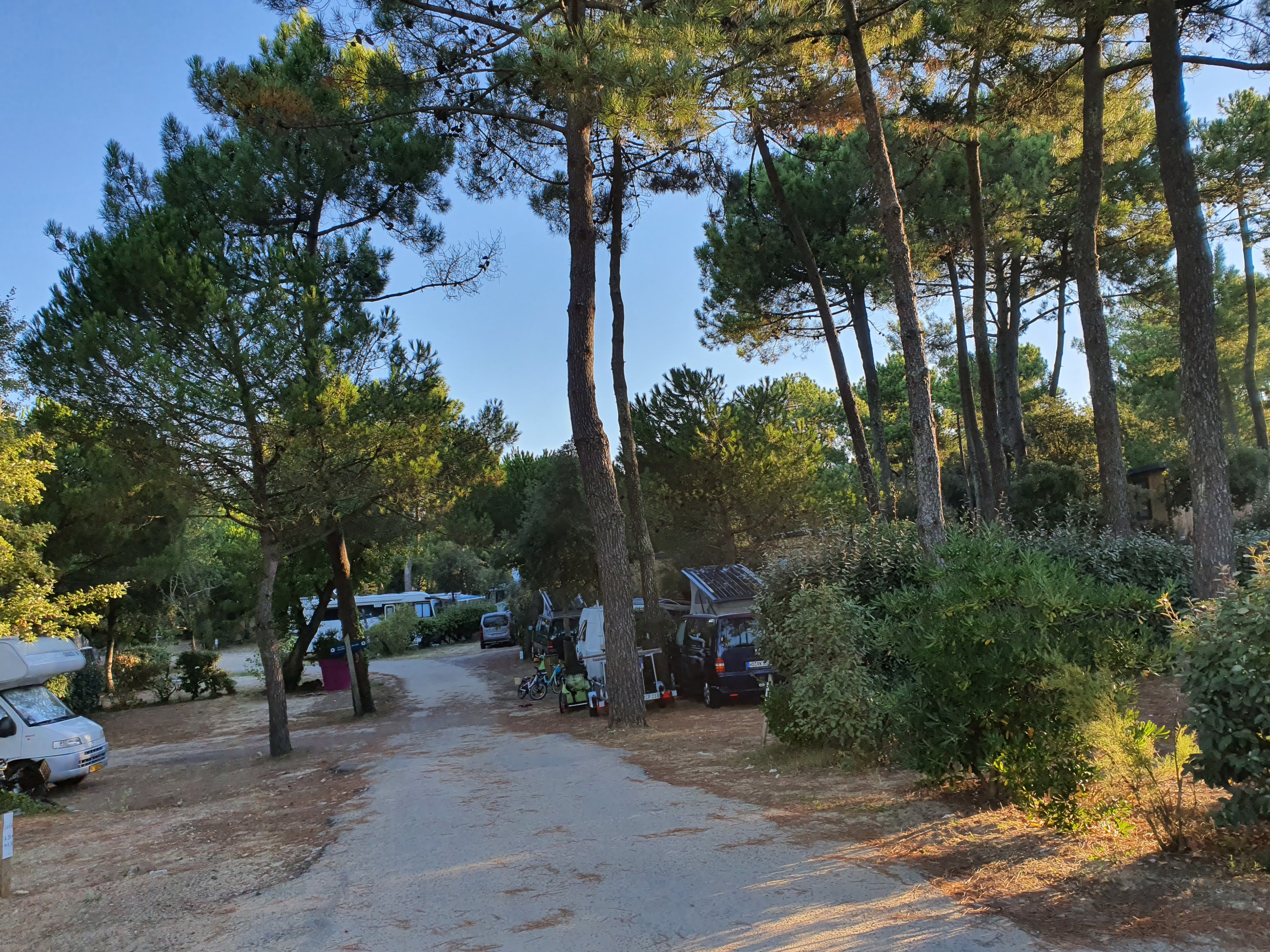 Photo n° 2 de l'avis de Moza.l fait le 15/09/2020 à 13:21