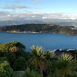 Wellington Harbour Lookout