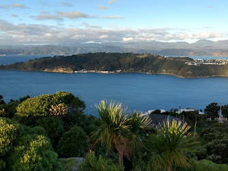 Wellington Harbour Lookout