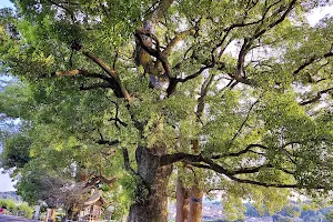 Kusunoki Central Park image