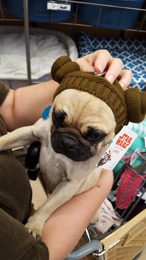 Pet Supply Store «Petco Animal Supplies», reviews and photos, 993 Branson Hills Pkwy, Branson, MO 65616, USA