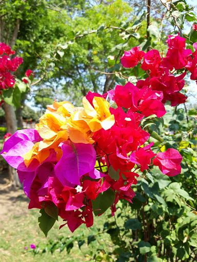 Botanical gardens in Barranquilla