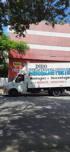 Logo da empresa - Dodo Mudanças