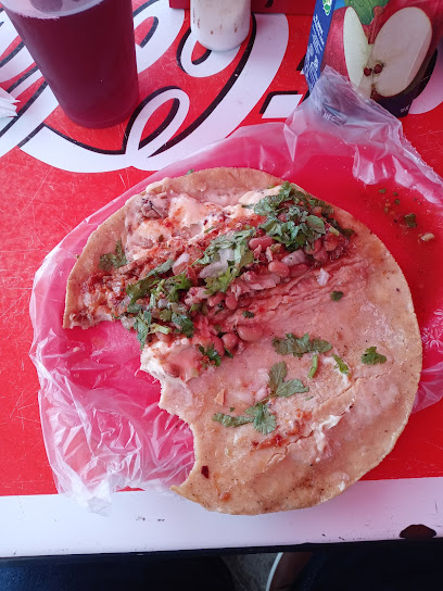 Tacos Yoyis - Guadalajara 20, 48540 Tecolotlán, Jal., Mexico