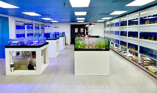 Tropical Fish Store «LE Corals Saltwater Aquarium Showroom», reviews and photos, 3414 S 48th St #2, Phoenix, AZ 85040, USA