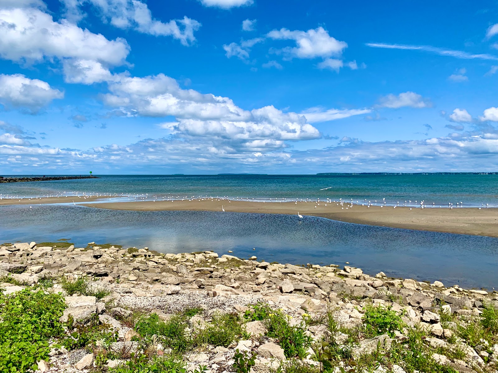 Waterworks Park Beach'in fotoğrafı imkanlar alanı
