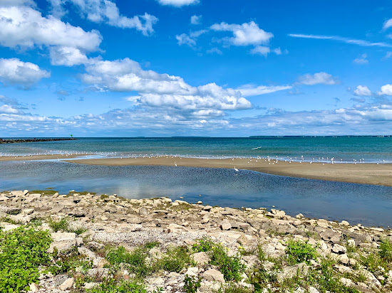 Waterworks Park Beach