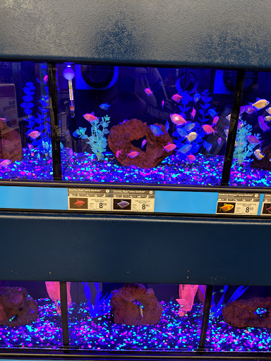 Pet Supply Store «Petco Animal Supplies», reviews and photos, 3717 S Meridian, Puyallup, WA 98373, USA