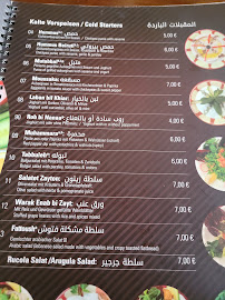 Restaurant de spécialités du Moyen-Orient Derya Restaurant à Munich (le menu)