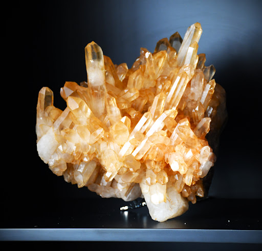 Legal Services «Pusch & Nguyen Law Firm LLP», reviews and photos