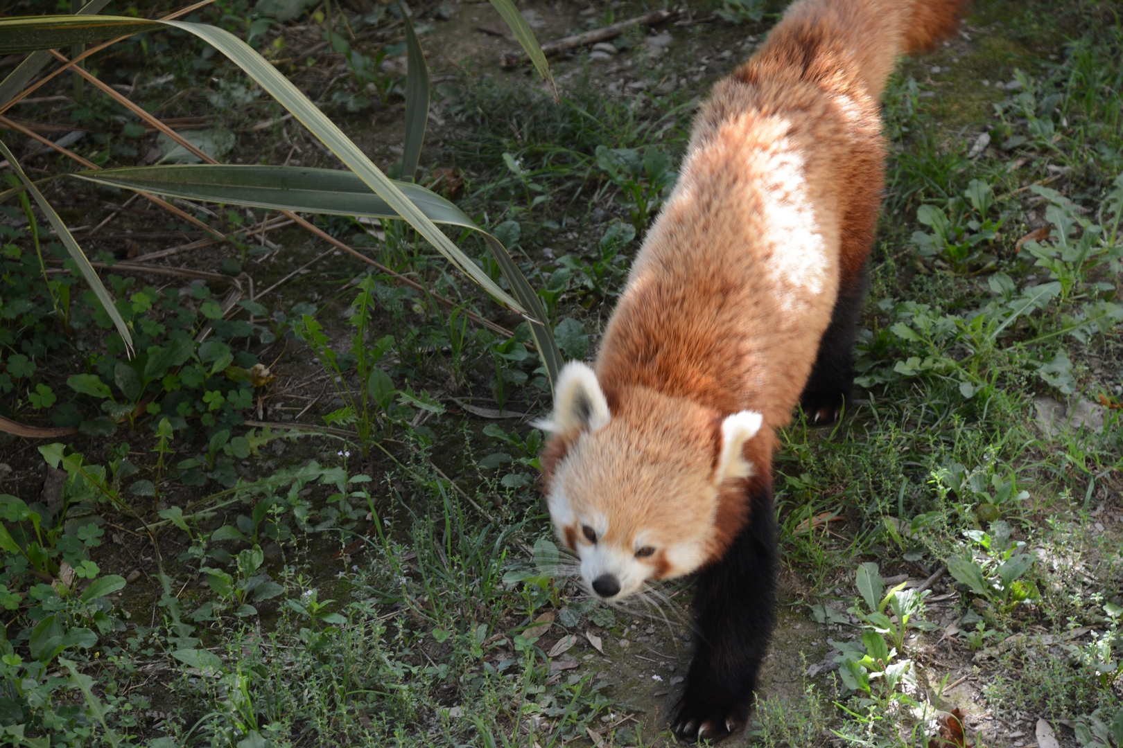 Photo n° 7 de l'avis de Laurent.E fait le 19/09/2023 à 20:20