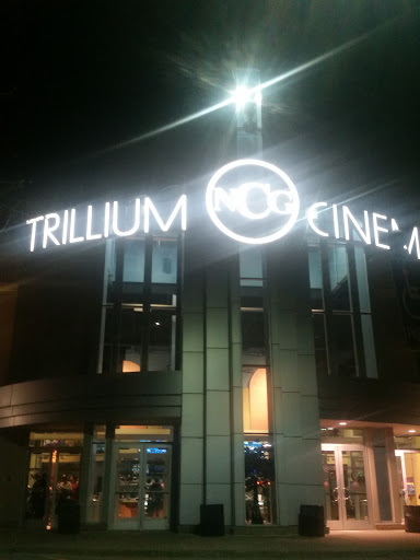 Movie Theater «NCG - Trillium Cinema», reviews and photos, 8220 Trillium Cir Ave, Grand Blanc, MI 48439, USA