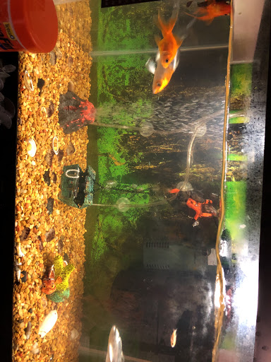 Pet Supply Store «Petco», reviews and photos, 590 E Waterfront Dr, Homestead, PA 15120, USA