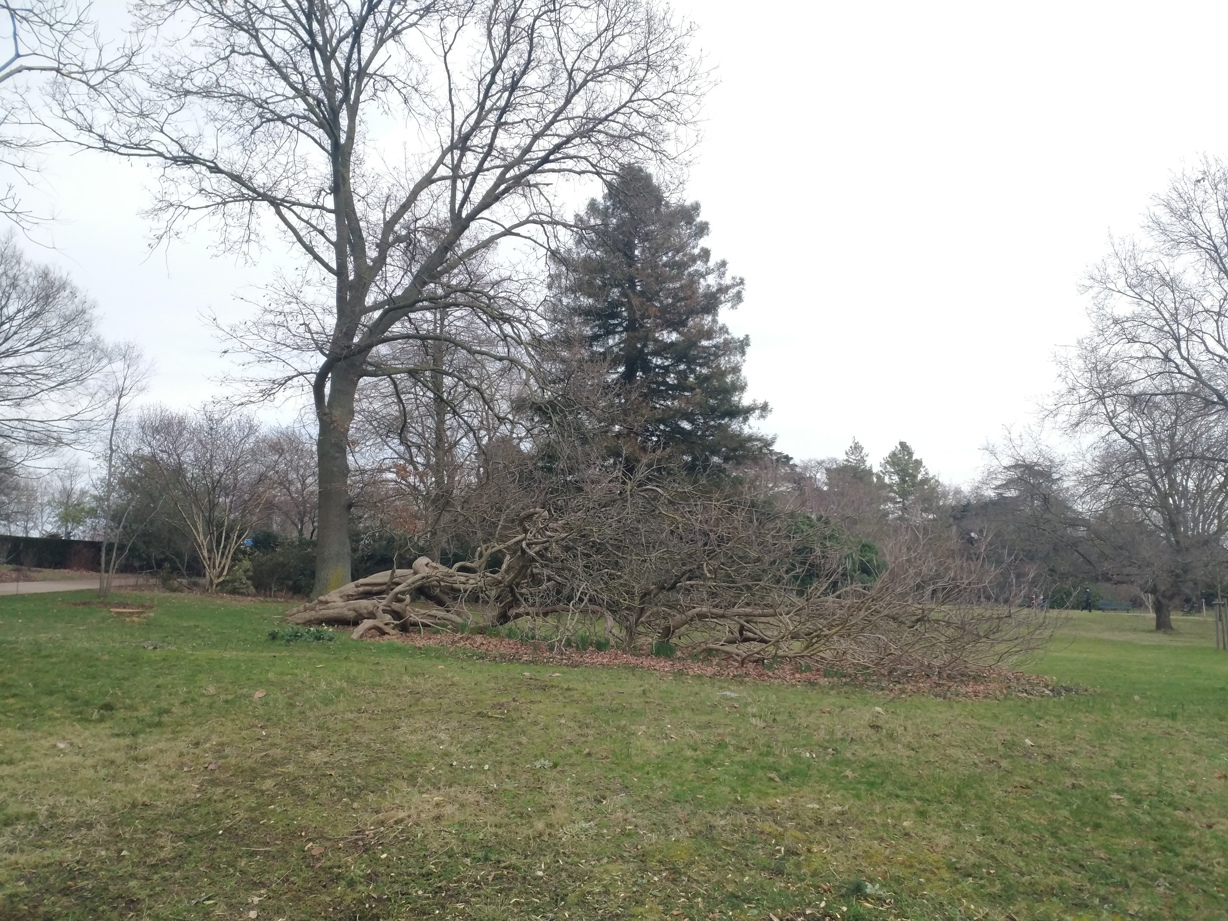 Photo n° 6 de l'avis de Lippert.a fait le 23/02/2021 à 16:54
