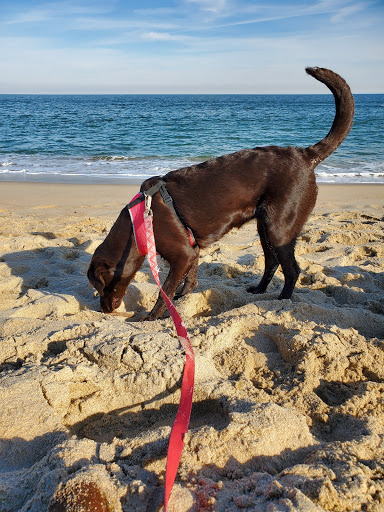 Water Park «Asbury Splash Park», reviews and photos, 915 Ocean Ave, Asbury Park, NJ 07712, USA