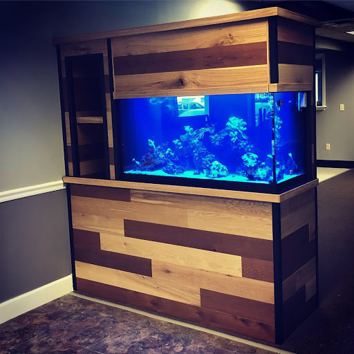 Aquarium «The Reef Shoppe», reviews and photos, 1969 East Ridge Road, Rochester, NY 14622, USA