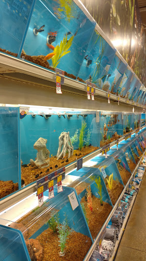 Pet Supply Store «PetSmart», reviews and photos, 4794 Jimmy Lee Smith Pkwy #108, Hiram, GA 30141, USA