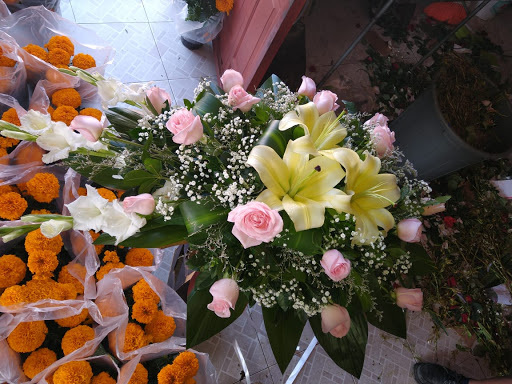 Florerías EleFlora