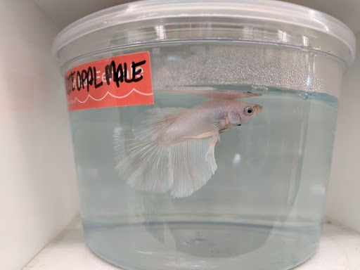 Pet Supply Store «Petco Animal Supplies», reviews and photos, 8164 Mall Pkwy, Lithonia, GA 30038, USA