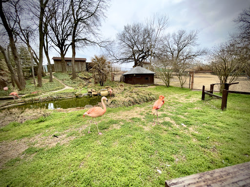 Zoo «Frank Buck Zoo», reviews and photos, 1000 W California St, Gainesville, TX 76240, USA