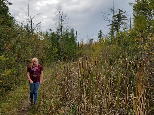 Nature Preserve «Teichner Preserve: The Leelanau Conservancy», reviews and photos, 5234 S Lime Lake Rd, Cedar, MI 49621, USA
