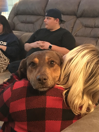 Animal Shelter «Heritage Humane Society», reviews and photos