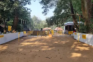 Sree Thurayil Kavu Bhagavathi Temple image