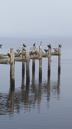 Casino «IP Casino Resort Spa», reviews and photos, 850 Bayview Ave, Biloxi, MS 39530, USA