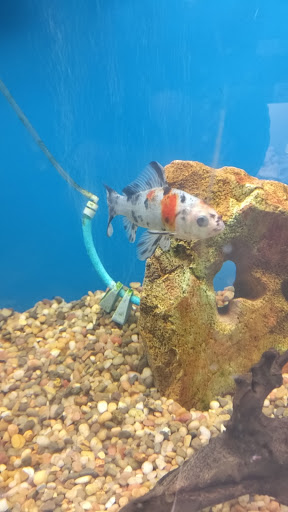 Pet Store «Pet World Warehouse Outlet», reviews and photos, 2984 S 108th St, Milwaukee, WI 53227, USA