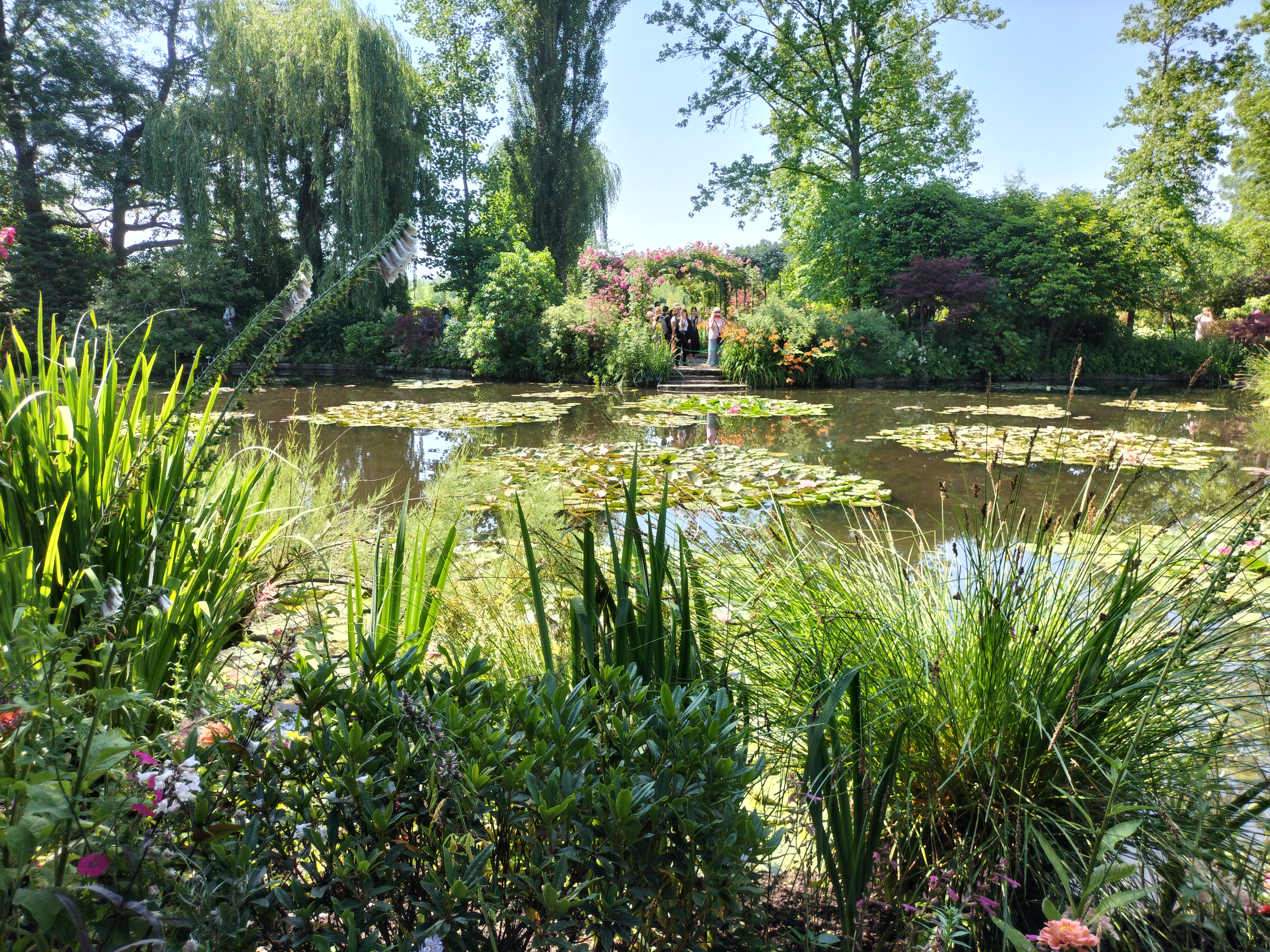 Photo n° 47 de l'avis de didier.e fait le 15/06/2023 à 13:38