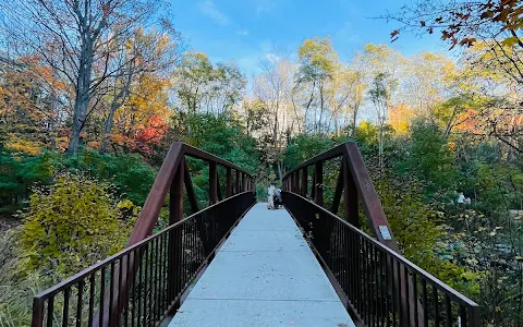 Wilket Creek Recreational Trail image