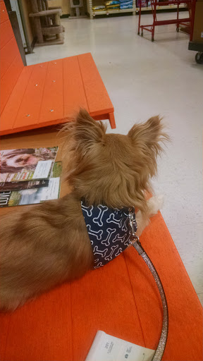 Pet Supply Store «PetSmart», reviews and photos, 2997 Max Ave, Bozeman, MT 59718, USA