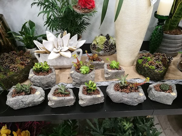 Imagen de Floristería Muskari (4 de 6)