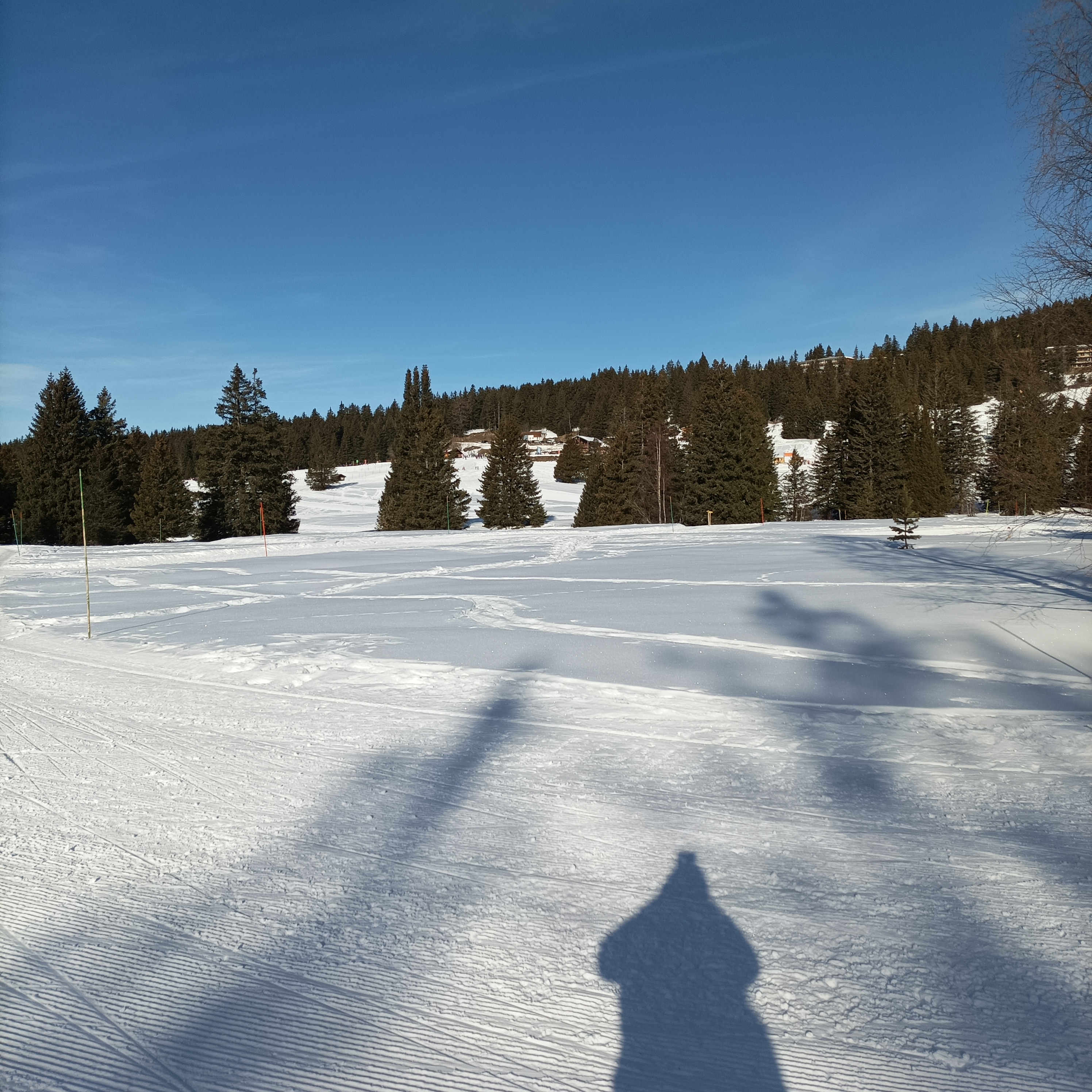 Photo n° 2 de l'avis de Rodolphe.o fait le 16/01/2022 à 21:06