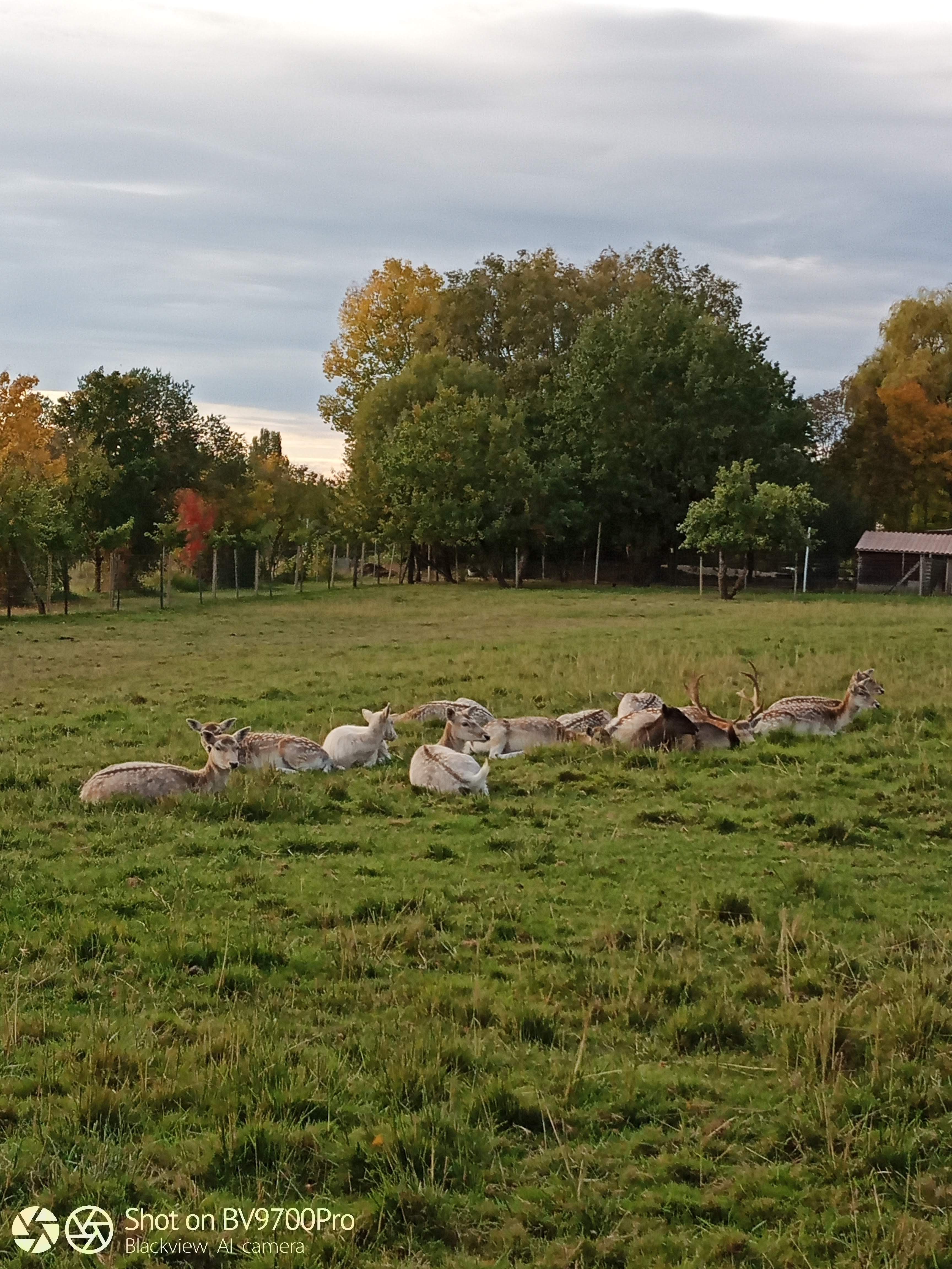 Photo n° 5 de l'avis de Roxane.w fait le 22/10/2019 à 06:12