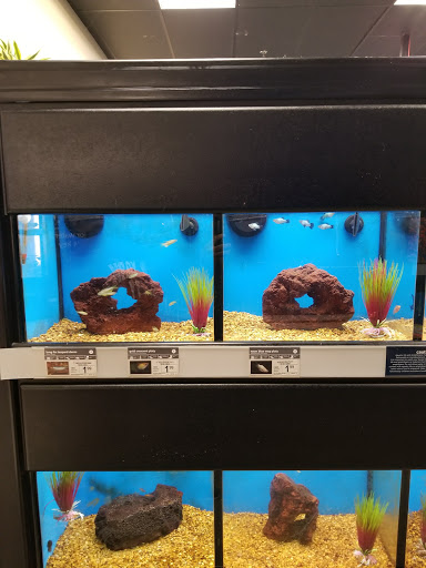 Pet Supply Store «Petco Animal Supplies», reviews and photos, 855 E Bidwell St, Folsom, CA 95630, USA