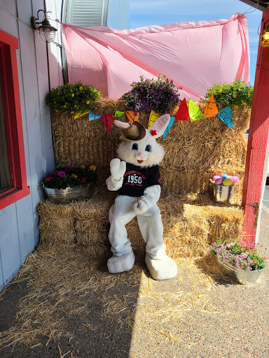 Pet Supply Store «Western Ranch & Pet Supply», reviews and photos, 103 Aegean Way, Vacaville, CA 95687, USA