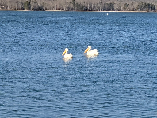 Marina «Terrace View Marina», reviews and photos, 3367 Euchee Chapel Rd, Spring City, TN 37381, USA