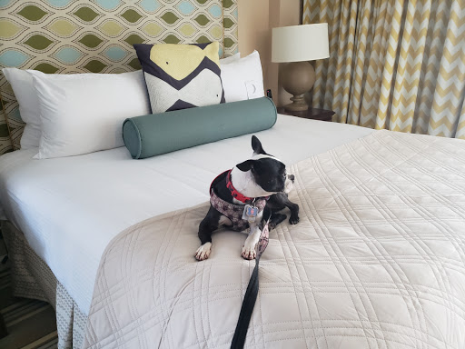 Beach Resort «Omni Hilton Head Oceanfront Resort», reviews and photos