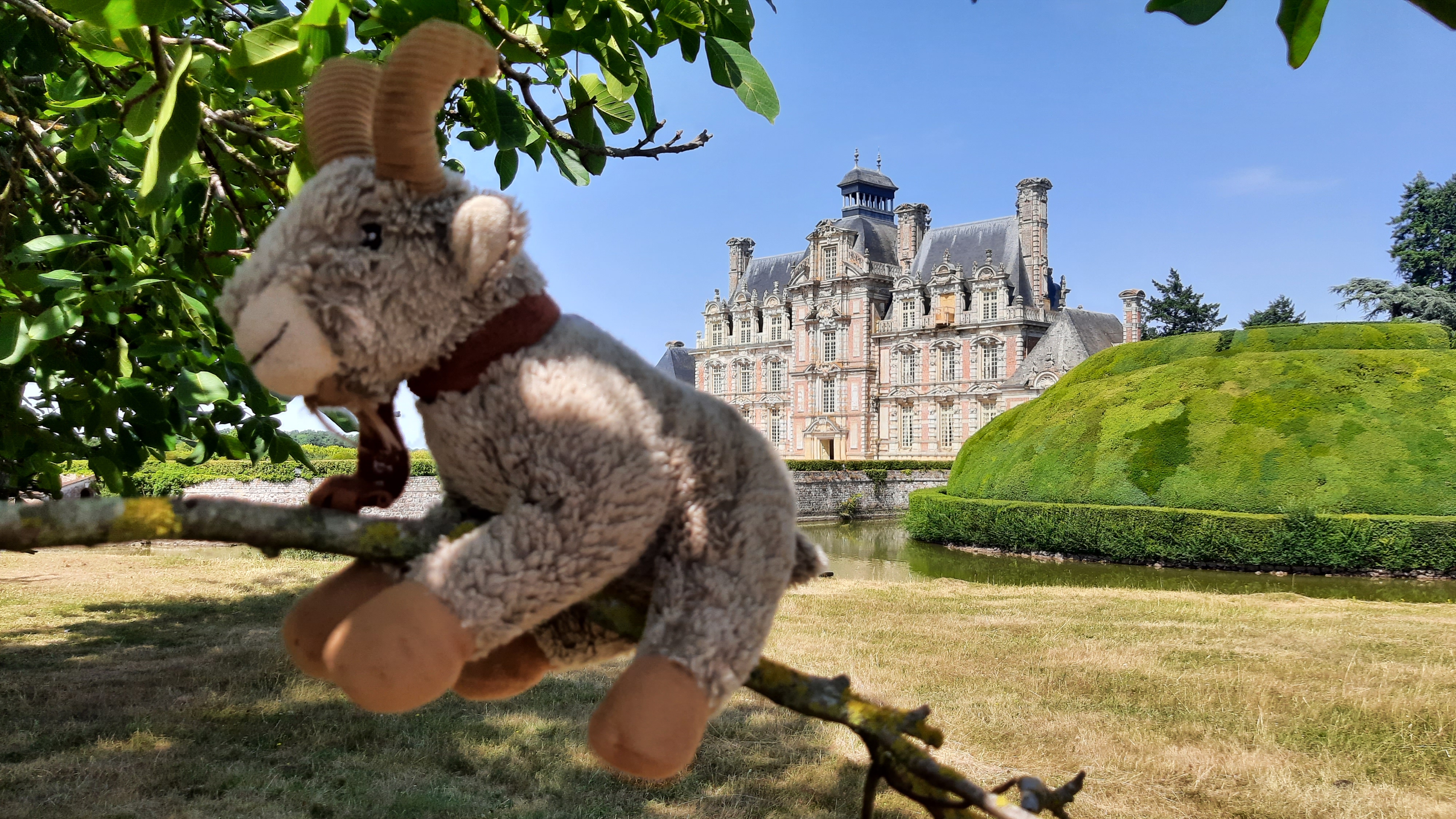 Photo n° 20 de l'avis de Armando.a fait le 18/07/2022 à 07:06