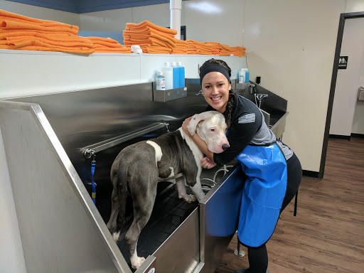 Pet Groomer «U Dirty Dog», reviews and photos, 232 Stevens Entry, Peachtree City, GA 30269, USA