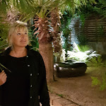 Photo n°1 de l'avis de Oleg.e fait le 29/09/2019 à 02:03 sur le  Coconuts à Rimini