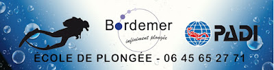 Bordemer à Chamagnieu
