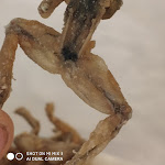 Photo n°3 de l'avis de Nero.h fait le 20/09/2020 à 12:29 sur le  La Cà di Ran à Moncucco