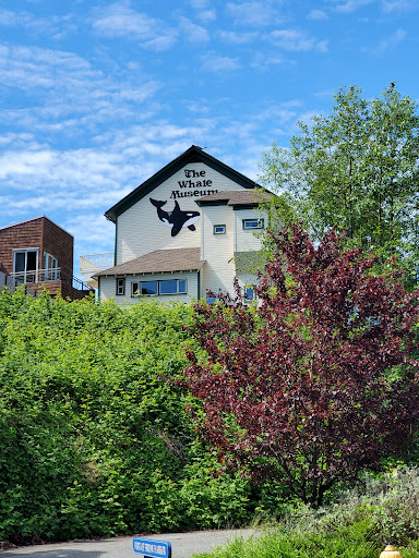 Museum «The Whale Museum», reviews and photos, 62 1st St, Friday Harbor, WA 98250, USA