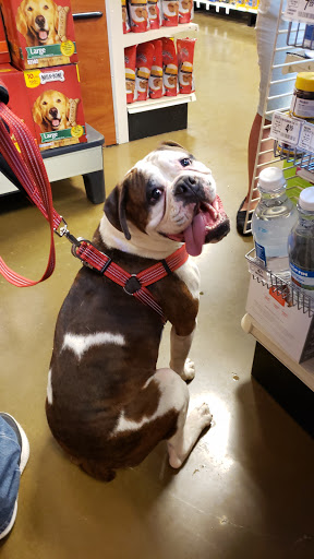 Pet Supply Store «PetSmart», reviews and photos, 1451 Dallas Hwy, Waxahachie, TX 75165, USA