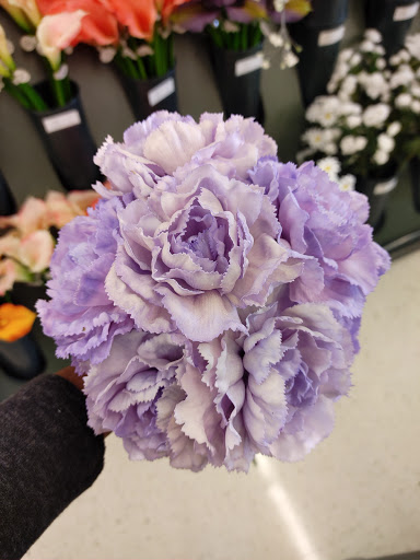 Craft Store «Hobby Lobby», reviews and photos, 5501 Patrick Way, Birmingham, AL 35235, USA