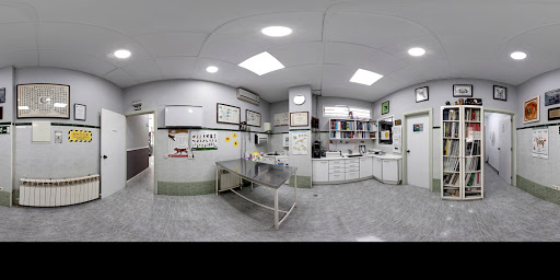 Clínica Veterinaria Panda en Fuenlabrada
