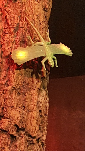 Tourist Attraction «Arizona Museum of Natural History», reviews and photos, 53 N Macdonald, Mesa, AZ 85201, USA